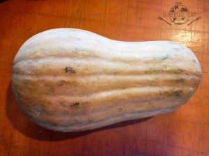 Zucca-Butternut