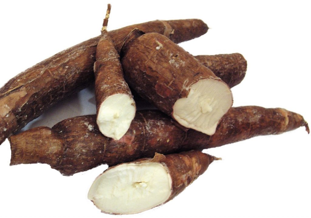 cassava