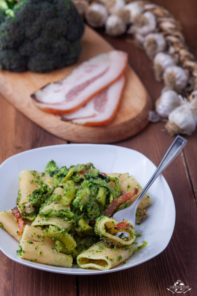 Paccheri con broccolo ramoso calabrese e guanciale